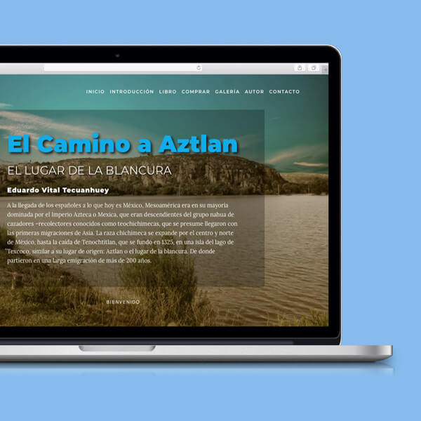 directplus online-600